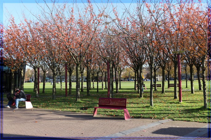 Vondelpark in Amsterdam Netherlands